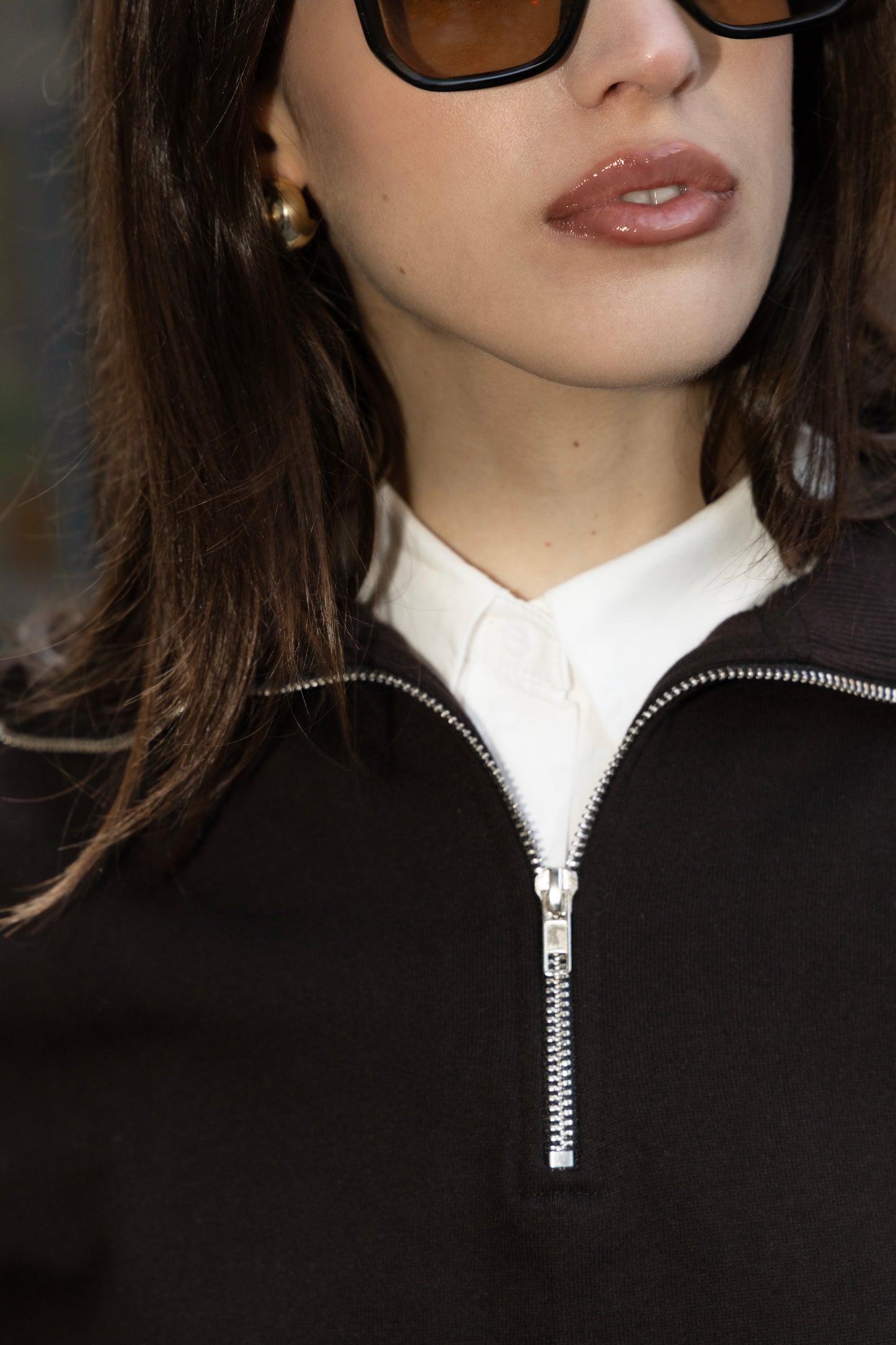 Sweatshirt Brown zipper